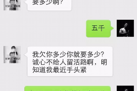 保定贷款清欠服务